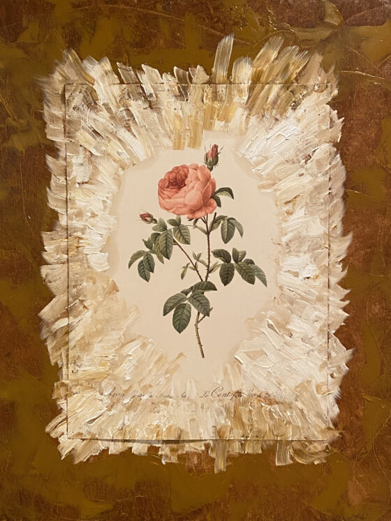 Redoutes Roses collages with oil on linen canvas